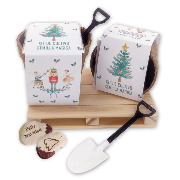 Kit Semilla Mágica | Colección Cascanueces