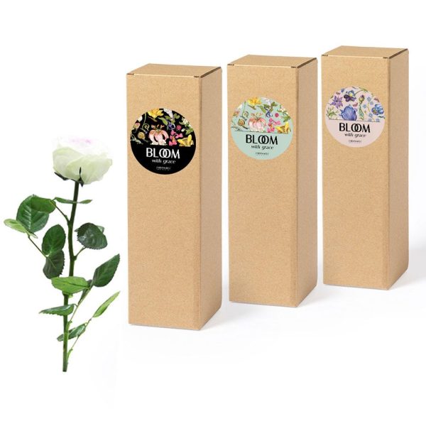 Rosa de Jardín | Colección Bloom