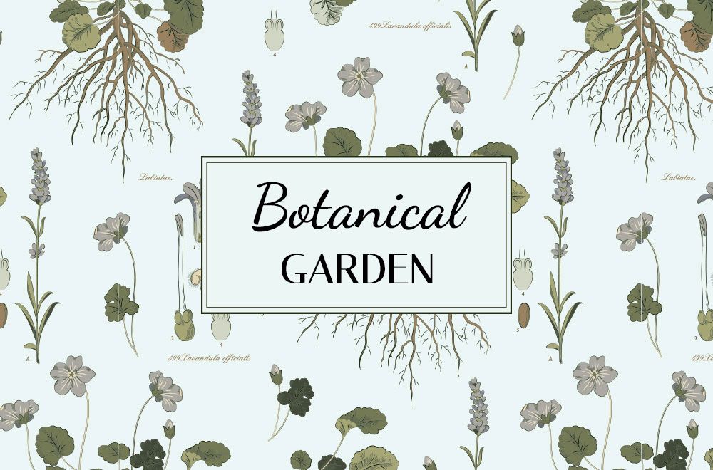 banner-botanica