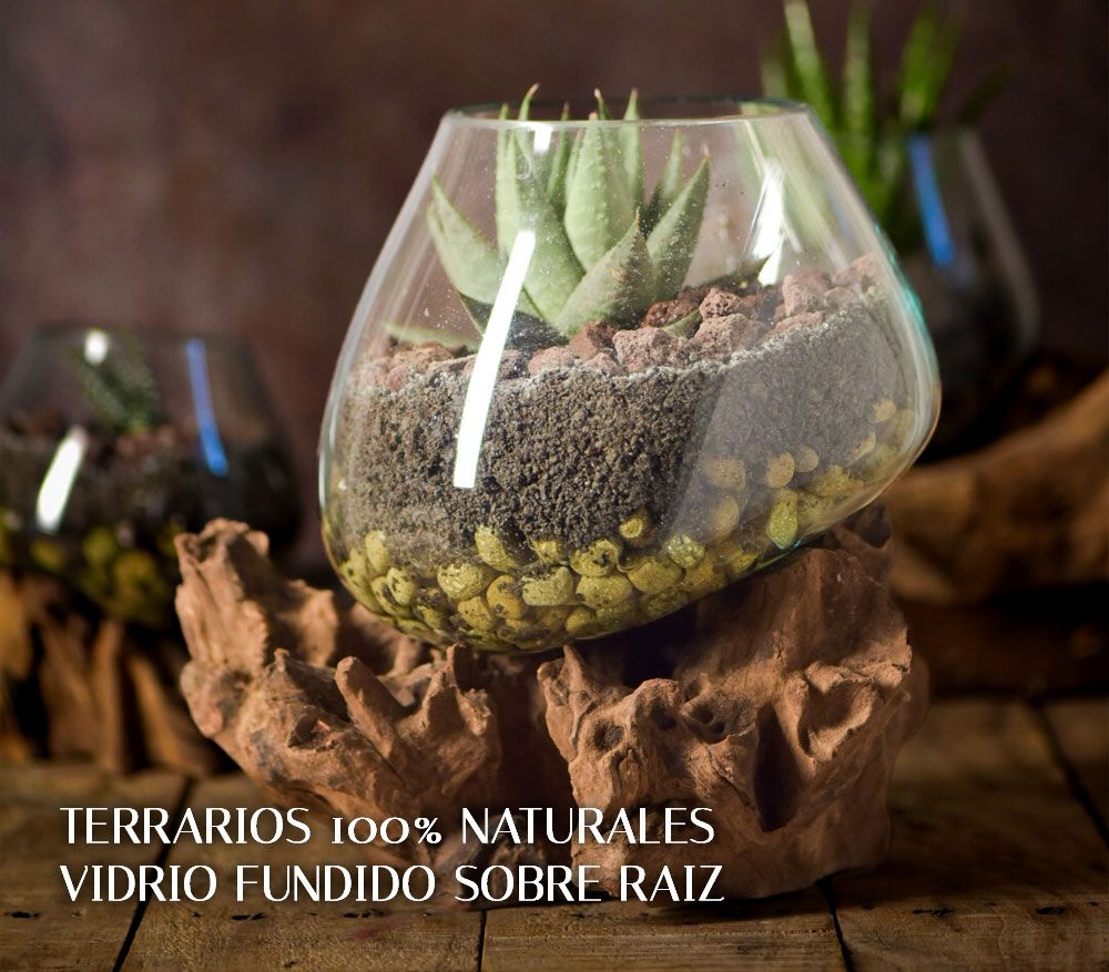terrarios-2