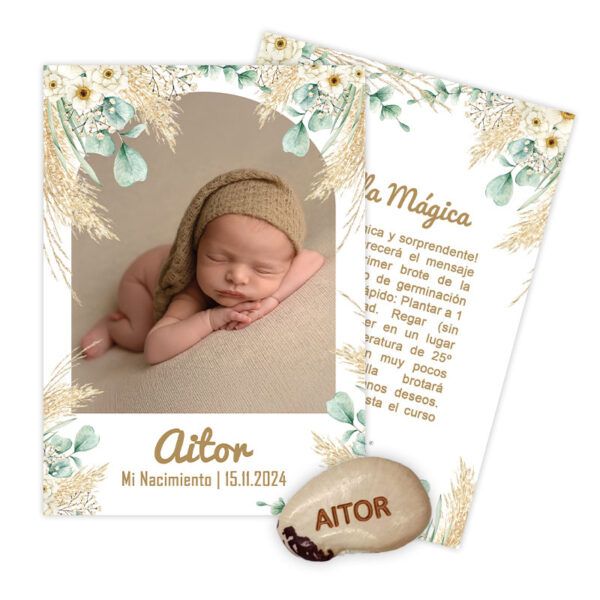 Tarjetón Semilla Mágica | Colección Baby
