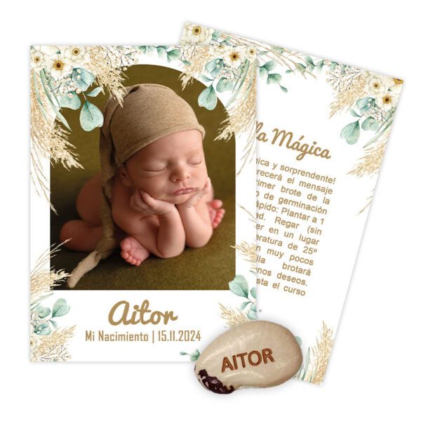 Tarjetón Semilla Mágica | Colección Baby