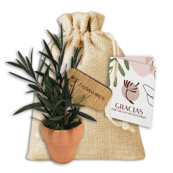 Plantita Natural Preservada