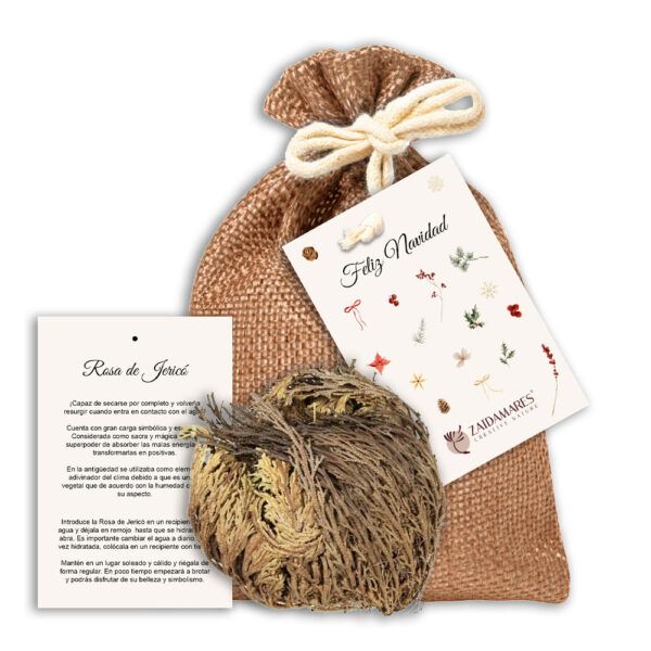 Caja Regalo Abejas | Colección Navidad
